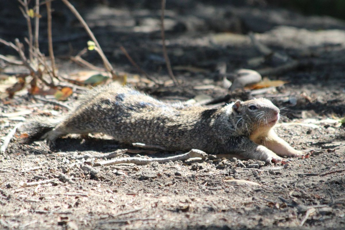 Erin Person tweet media