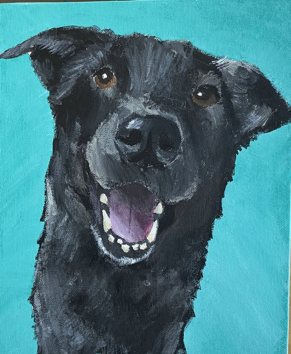 MrsManouArt's tweet image. Here are the finished portraits from the adult painting class!! I love each artist’s unique painting style 🎨🖌️ @GC_ContinuingEd