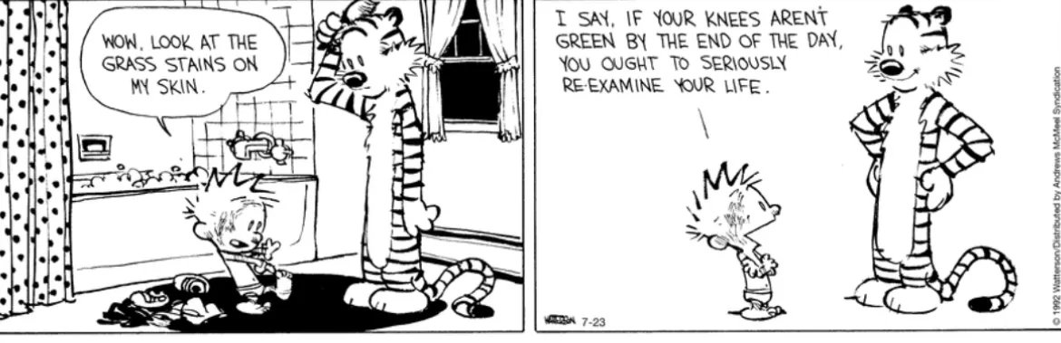 Calvin and Hobbes Fan Account tweet media