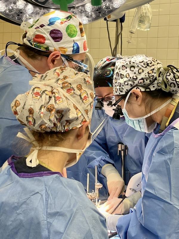 angie_kao's tweet photo. What better way to wrap up fellowship training than operating with my co-fellows on an index case

#pedsurgbestsurg #threefellowcase @CMPedSurg @CMKCFellows  @CDekonenko https://t.co/3xmltUzSzO