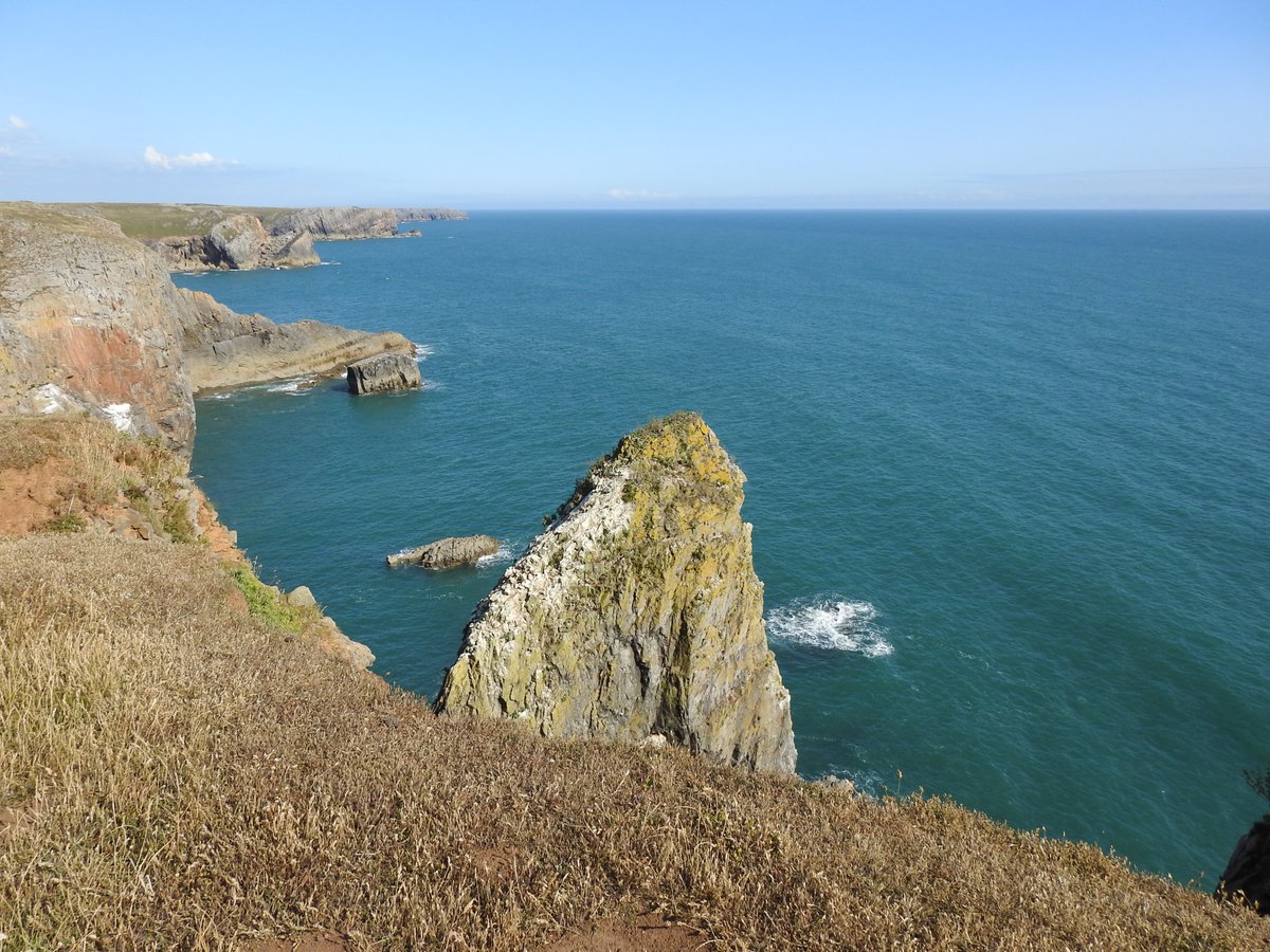 angiloveslife's tweet photo. Didn't spend much time at the Green Bridge of Wales &amp; Stack Rocks yesterday. Only found one razorbill &amp; chick. Is that because they've already headed home or decimated by Avian flu #PembsBirds #StackRocks #GreenBridgeofWales #Pembrokeshire #razorbill #noguillemots #avianflu https://t.co/If8aHYzoSe