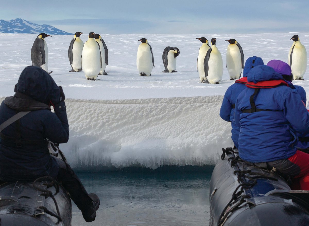 Heritage Expeditions tweet media