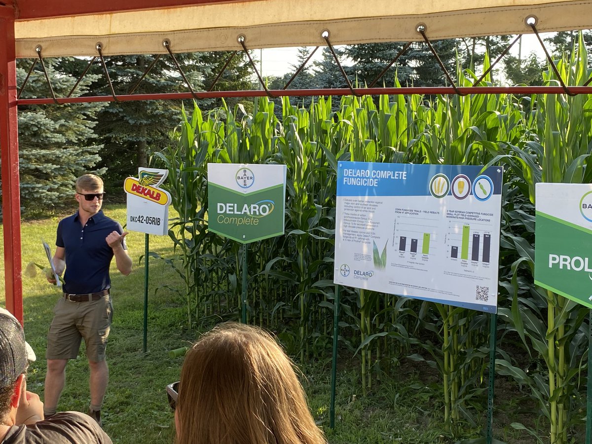 Lawrence Levesque (@lawrencelevesq3) on Twitter photo Great evening for learning about corn diseases at Cribit Seed Open house/plot tour. <a href="/speareseeds/">Speare Seeds</a> <a href="/Cribit_Seeds/">Cribit Seeds</a> <a href="/GrainFarmers/">Grain Farmers of Ontario</a> Great evening for learning about corn diseases at Cribit Seed Open house/plot tour. <a href="/speareseeds/">Speare Seeds</a> <a href="/Cribit_Seeds/">Cribit Seeds</a> <a href="/GrainFarmers/">Grain Farmers of Ontario</a>