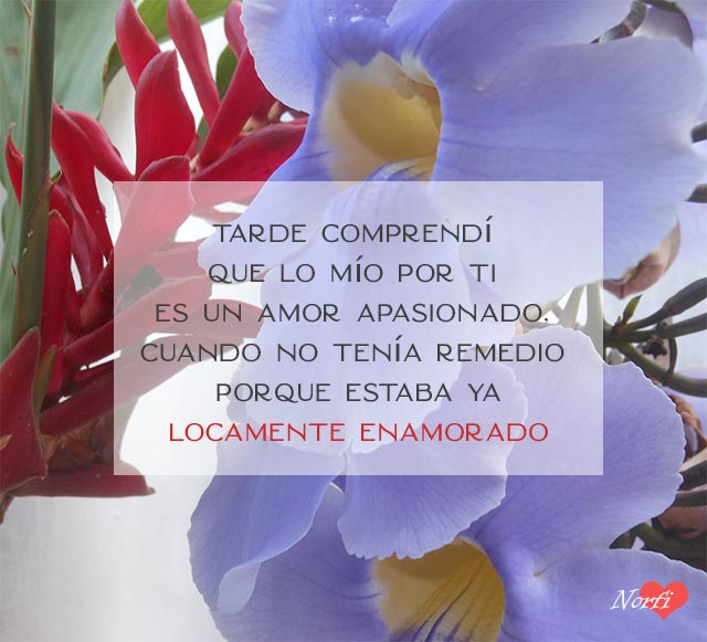 FrasesNorfiPC's tweet photo. Tarde comprendí que lo mío por ti es un amor apasionado, cuando no tenía remedio, porque estaba ya locamente enamorado.
https://t.co/AqM4nGDR62
#mensajesdeamor
#frasesdeenamorados https://t.co/mHDHRW4Rl5