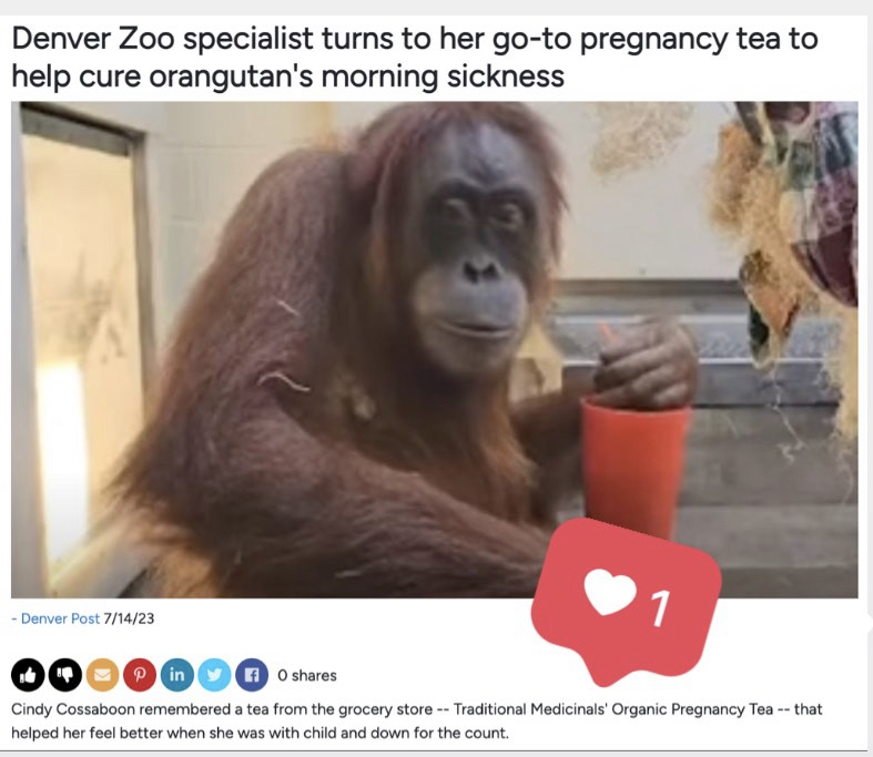 A beautiful reminder of the healing relationship between plants and animals, too 🌿 
Catch the cutest clip of Eirina enjoying her daily dose: bit.ly/46TlkOm

Thank you <a href="/DenverZoo/">Denver Zoo Conservation Alliance</a> for sharing! We're happy to hear Eirina is feeling better💕