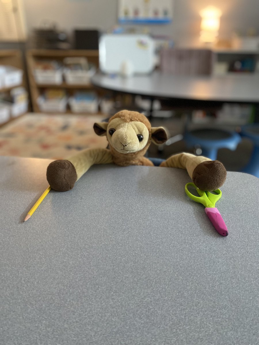 Gaylord was getting his learning on today in <a href="/hannahjrowe7/">Hannah Rowe</a>’s room at <a href="/SycamoreCreekES/">Sycamore Creek ES</a> 
🐪#orangewednesday