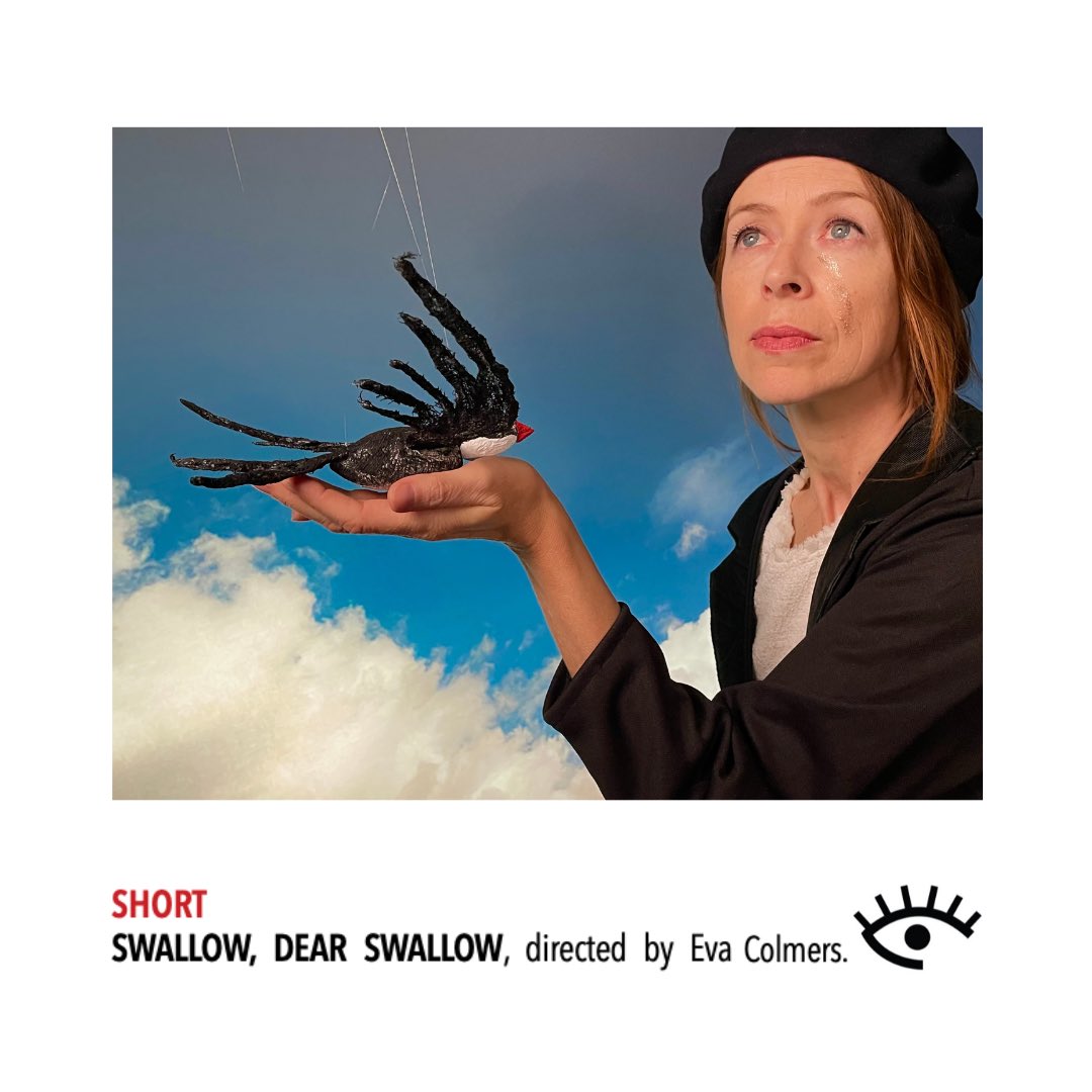 FeFF PROGRAM | DAY THREE 

Fri. July 28 • 4:30-7PM
<a href="/HotDocsCinema/">Hot Docs Cinema</a> 

MATTER
CANADIAN SHORTS &amp; FOREIGN FEATURE 

SHORT
SWALLOW, DEAR SWALLOW, dir. Eva Colmers <a href="/ColmersEva/">Eva Colmers</a> 

🎟️ -> hotdocs.ca/whats-on/films…

#FeFF2023