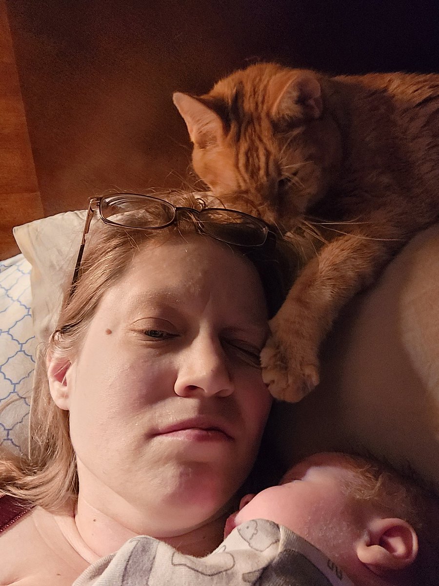 Tangerine is still jealous.