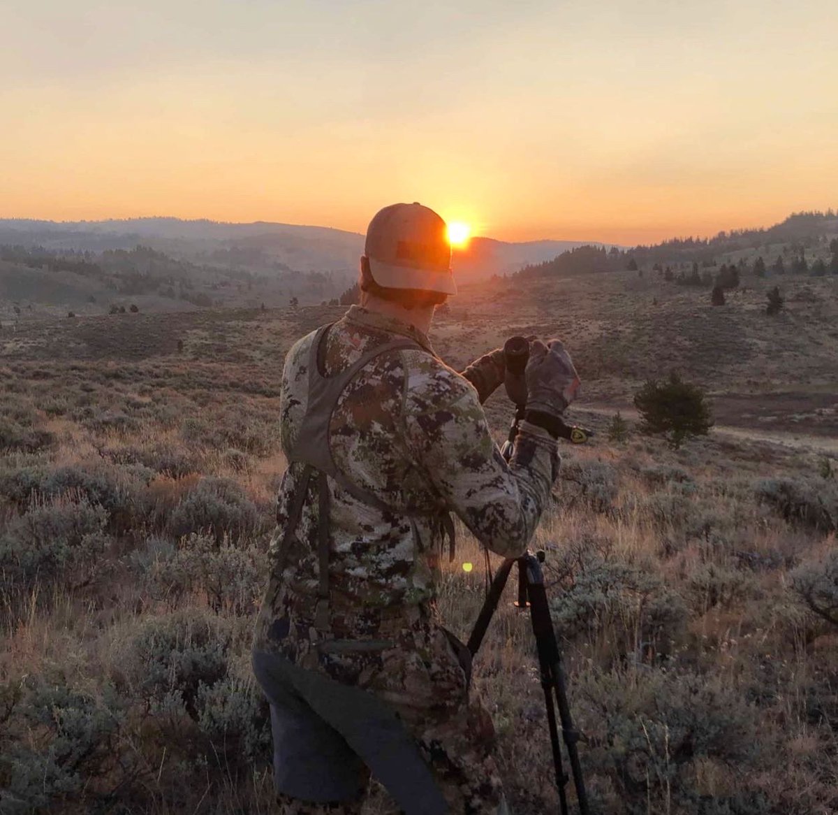 Trips4Trade tweet media