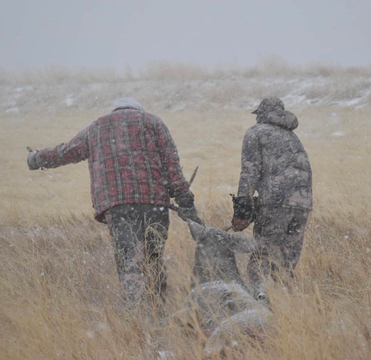 Trips4Trade tweet media