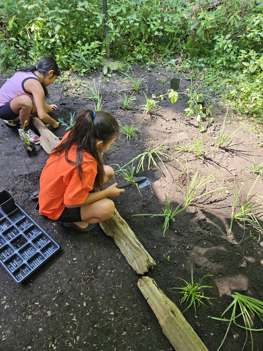 Work continues at #CampMigizi as students work on edging the pathways with indigenous plants! <a href="/gecdsbpro/">GECDSB PR</a> <a href="/CampMigiziBen/">Mr. Gillies</a> <a href="/ClaraHowitt/">Dr. Clara Howitt</a> <a href="/GabbyOlaru/">Gabriela Andrei</a> <a href="/kaylapfranco/">Ms Kayla Franco</a> <a href="/LauraBa06241838/">Laura Bates</a> <a href="/OjibwayPrairie/">OjibwayNatureCentre</a> <a href="/TinaDeCastro1/">Tina DeCastro</a> <a href="/MissClarkTeach/">Shelby Clark</a> <a href="/jillian_pizzo/">Miss Pizzo</a>