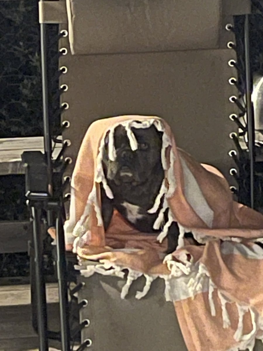 Mayor Guy Fieri on Twitter "Cash the lake dog!!"