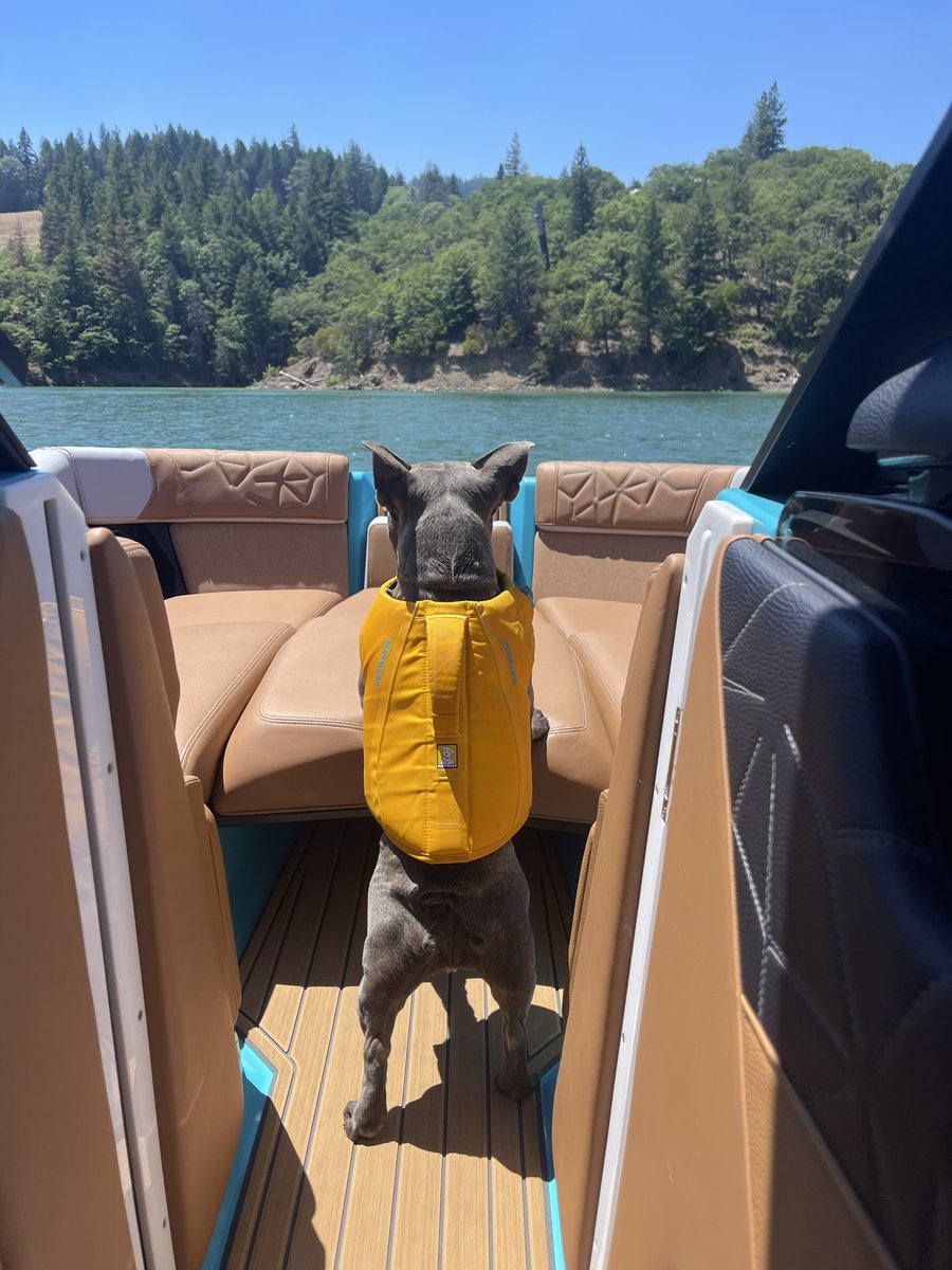 Mayor Guy Fieri on Twitter "Cash the lake dog!!"
