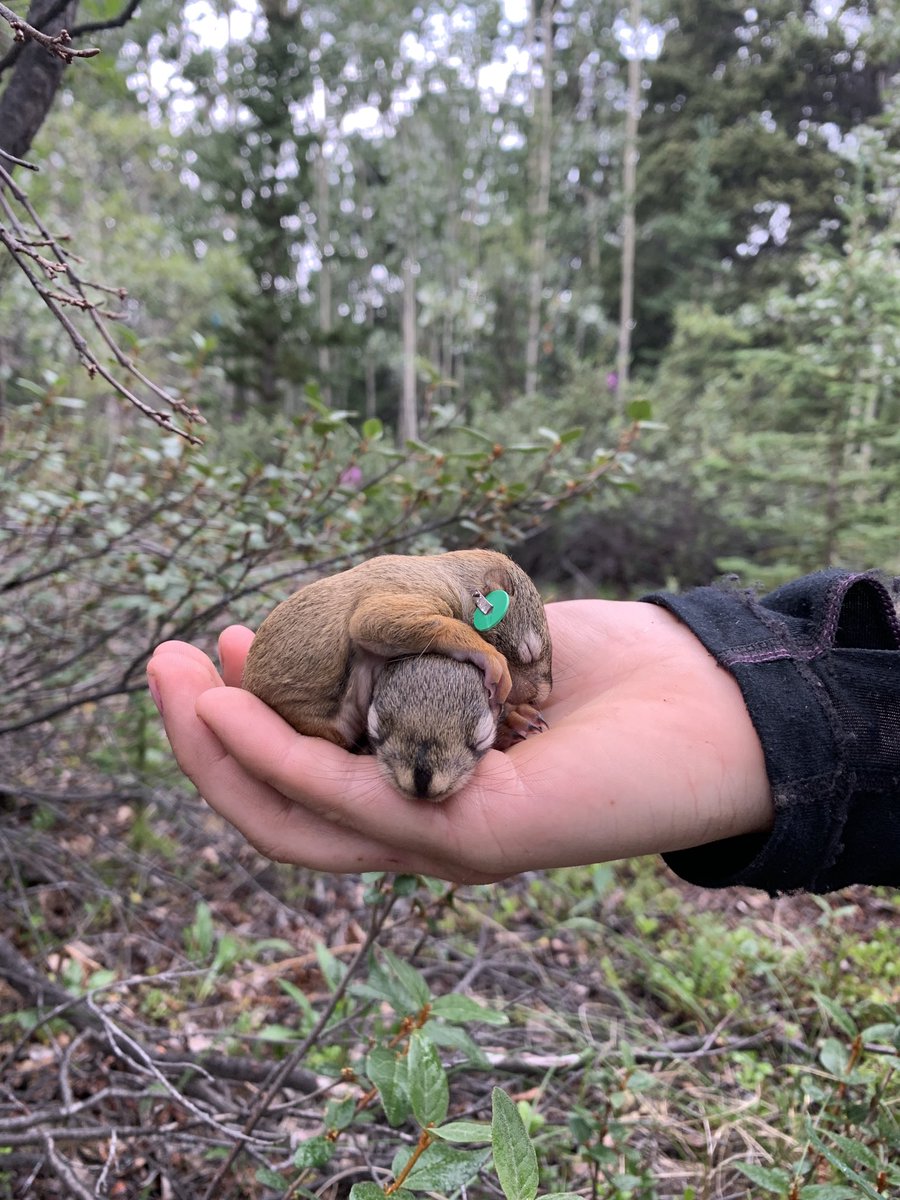 Cesár Estien, PhD 🇵🇸 tweet media