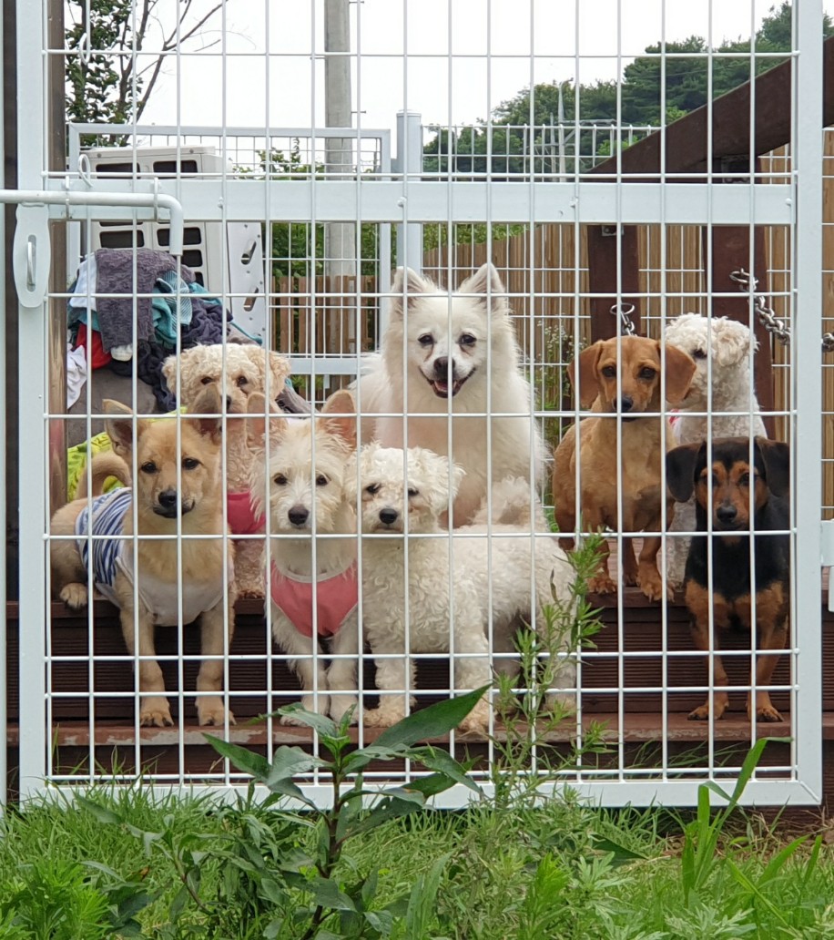 오늘 쉼터 월세내는날 두둥
총 280 납부해야하고 도움 받은덕에
약 30만원 가량 부족합니다 
사실 어제 아리 치과비와 중성화비 50마넌 가량도 아직 입니다 80마넌. 도움
받아보려고 글쓰고 곧 오늘은 쉼터로 가요
알티도 소액도 사랑 💕 

국민 엔젤프로젝트 469937 04 008881 쉼터