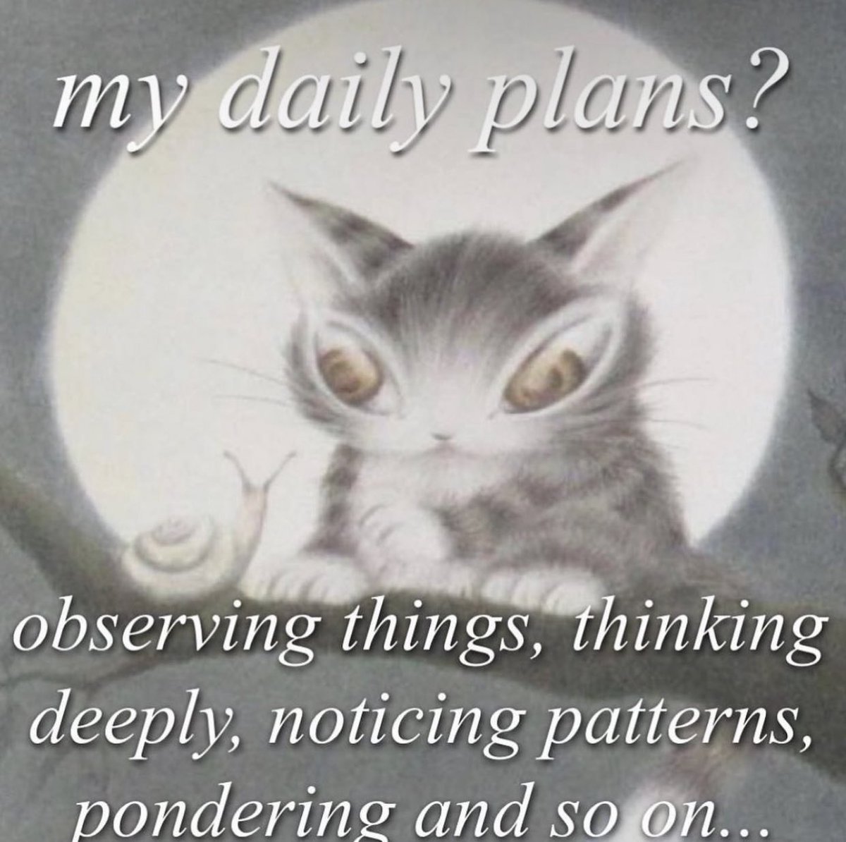 whotfisjovana's tweet image. 