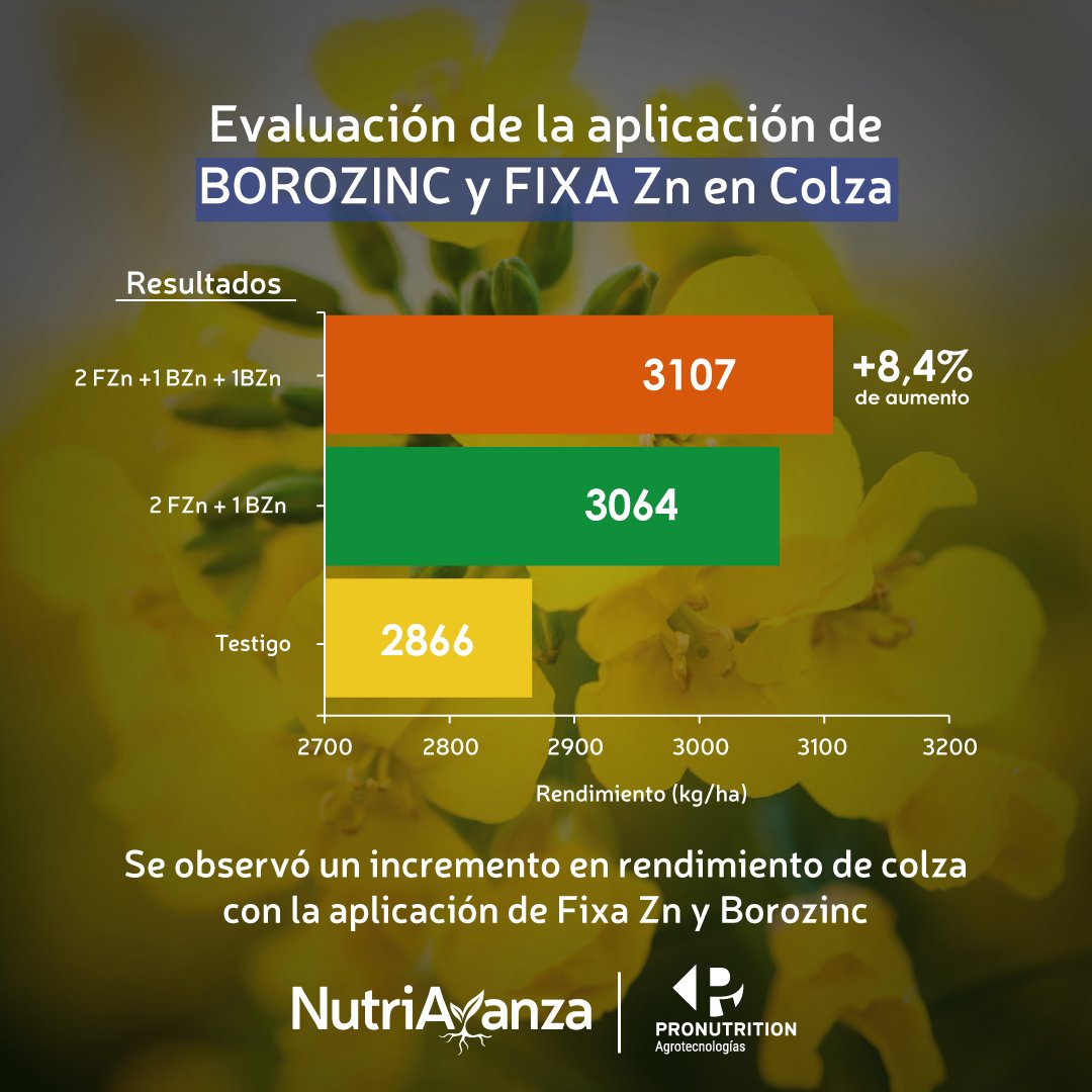 nutriavanza's tweet photo. Les presentamos la evaluación de la
aplicación combinada de Fixa Zn y Borozinc, en una
Colza de alto rendimiento. 🙌

Como se puede observar, a pesar de partir de un piso
de 2.866 kg/Há, se logró incrementar el rendimiento
hasta un 8,4%. 🤝

#elagronopara #fixazn #borozinc #colza https://t.co/DVduKa6TS9