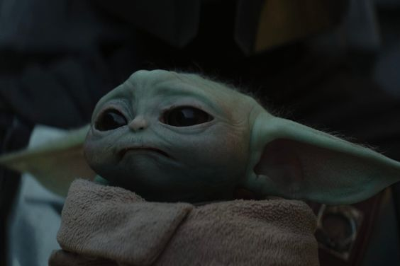 𝚃𝙷𝙴 𝙵𝙾𝚄𝙽𝙳𝙻𝙸𝙽𝙶 tweet media