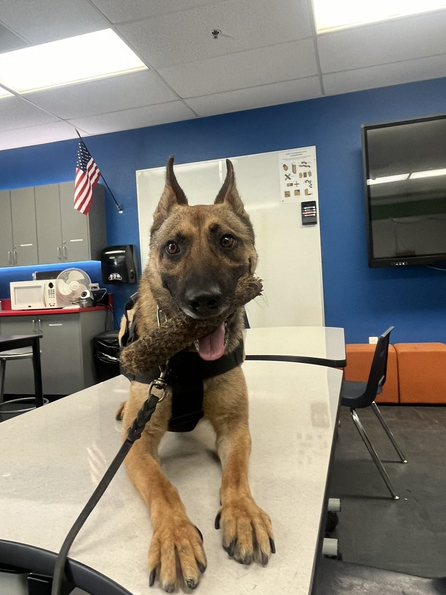 When you are at school waiting for your friends to come back🐾