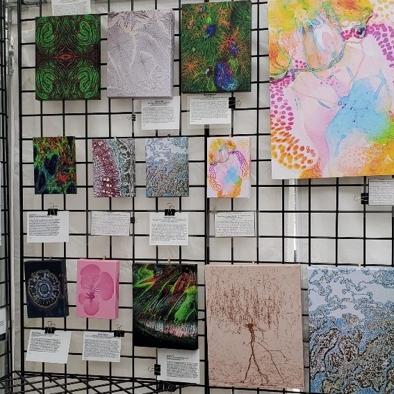 July 20-22: Be sure to check out the amazing collection of microscopic art from @UmichResearch labs (including a new image from the LSI's own <a href="/PRivero_PhD/">Pilar Rivero-Ríos</a>) at the Ann Arbor Art Fair <a href="/BioArtography/">BioArtography</a> booth!  

Times and location:  events.umich.edu/event/109144