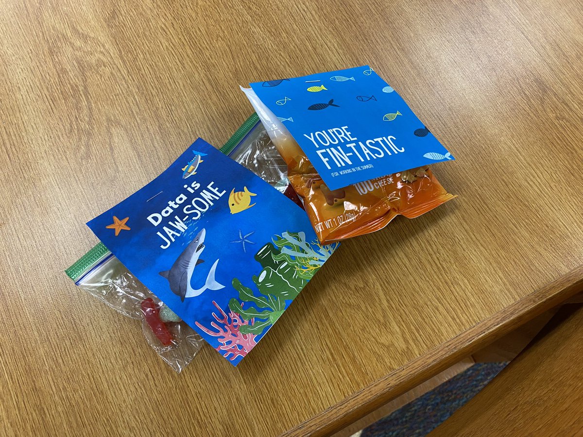 Our teachers got to get to know their incoming scholars by taking a deep dive on their new rosters and student data today!  They can’t wait to meet you Colts✨