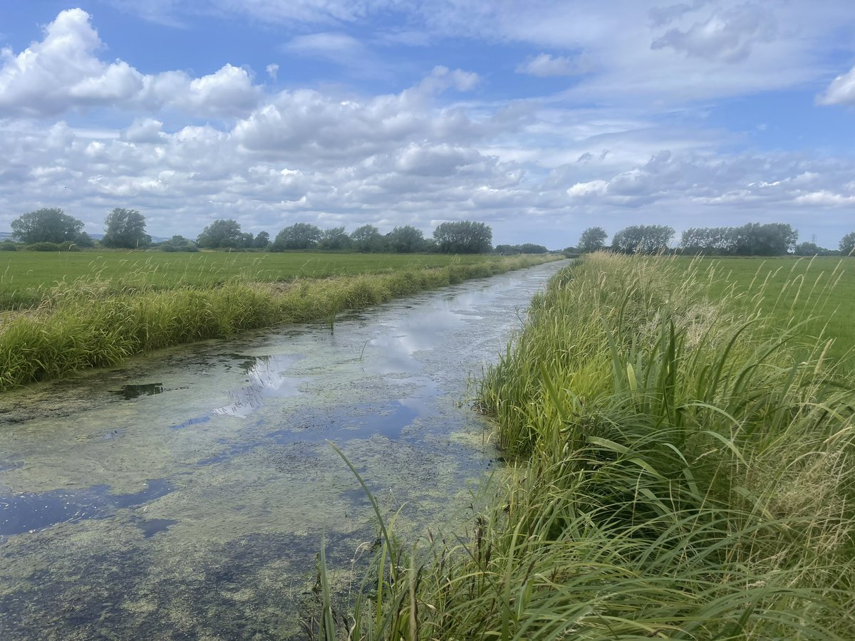 Phil Brewin tweet media