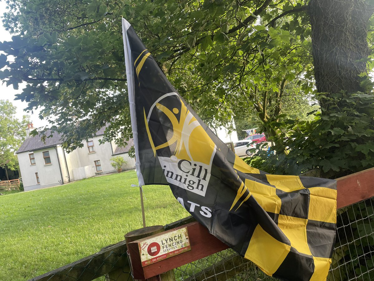 Flag is up 😀 and some free advertisement for <a href="/LynchFencing/">Lynch Fencing</a> #kilkenny#honthecats