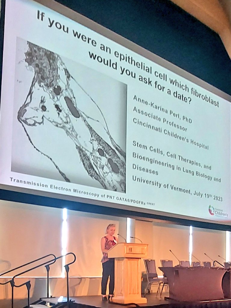 VTStemCell2025 (@stemvt) on Twitter photo If you were an epithelial cell, which fibroblasts you'd you take for a date? Such an important question posed by @Perl_Lab <a href="/AnneKarina_Perl/">Anne-Karina Perl</a> #VTStemcell2023 If you were an epithelial cell, which fibroblasts you'd you take for a date? Such an important question posed by @Perl_Lab <a href="/AnneKarina_Perl/">Anne-Karina Perl</a> #VTStemcell2023