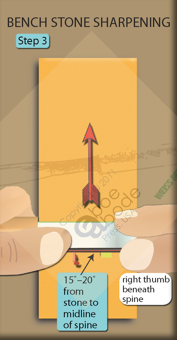 oboeabode's tweet photo. The Illustrated Encyclopedia Of Oboe Reedmaking, volume 1 (right-hand version) is available for $85.00 + shipping in the US. 

Pay via PayPal HERE:

https://t.co/taVOPp8SNp https://t.co/vEE56sV2Rn