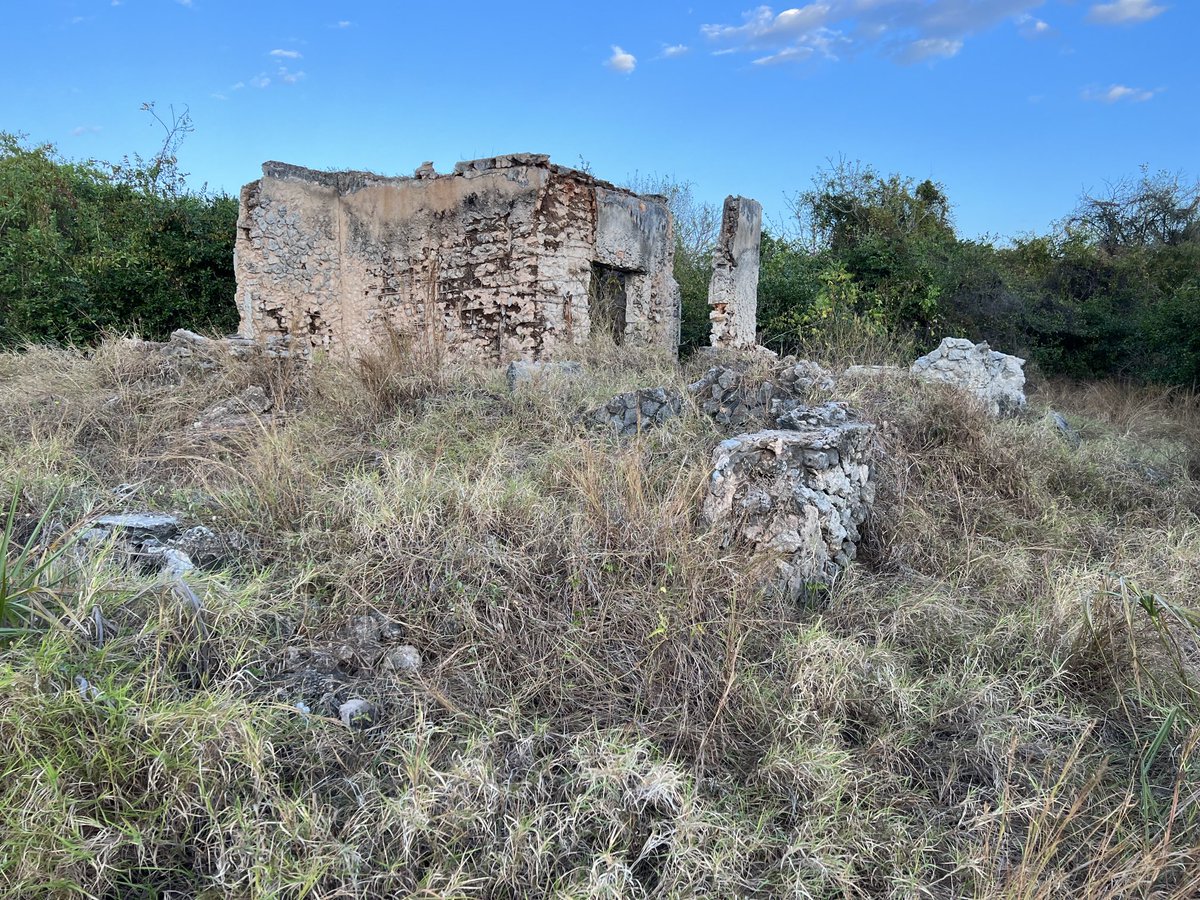 IchumbakiE's tweet photo. A famous #BritishArchaeologist #NevilleChittick stayed somewhere here while undertaking meticulous #excavations in #KilwaKisiwani. It’s sad this research history is getting lost. ⁦@tzBritish⁩ ⁦@The_BIEA⁩ ⁦@UKinTanzania⁩ ⁦@dickybates2⁩ ⁦@BritishArts⁩ https://t.co/cOdvotT0Zh