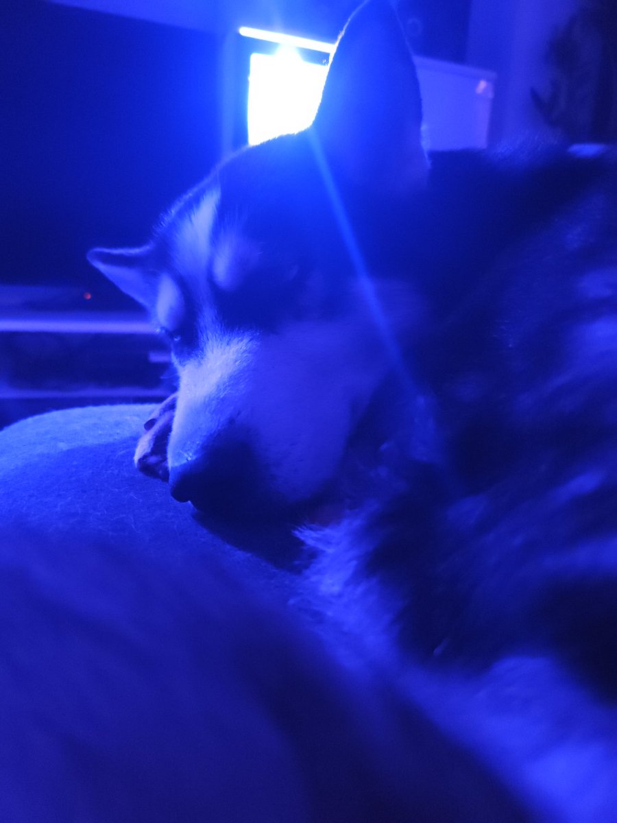 FirstRainArt's tweet image. The Light

#photography #pictureoftheday #FirstRain