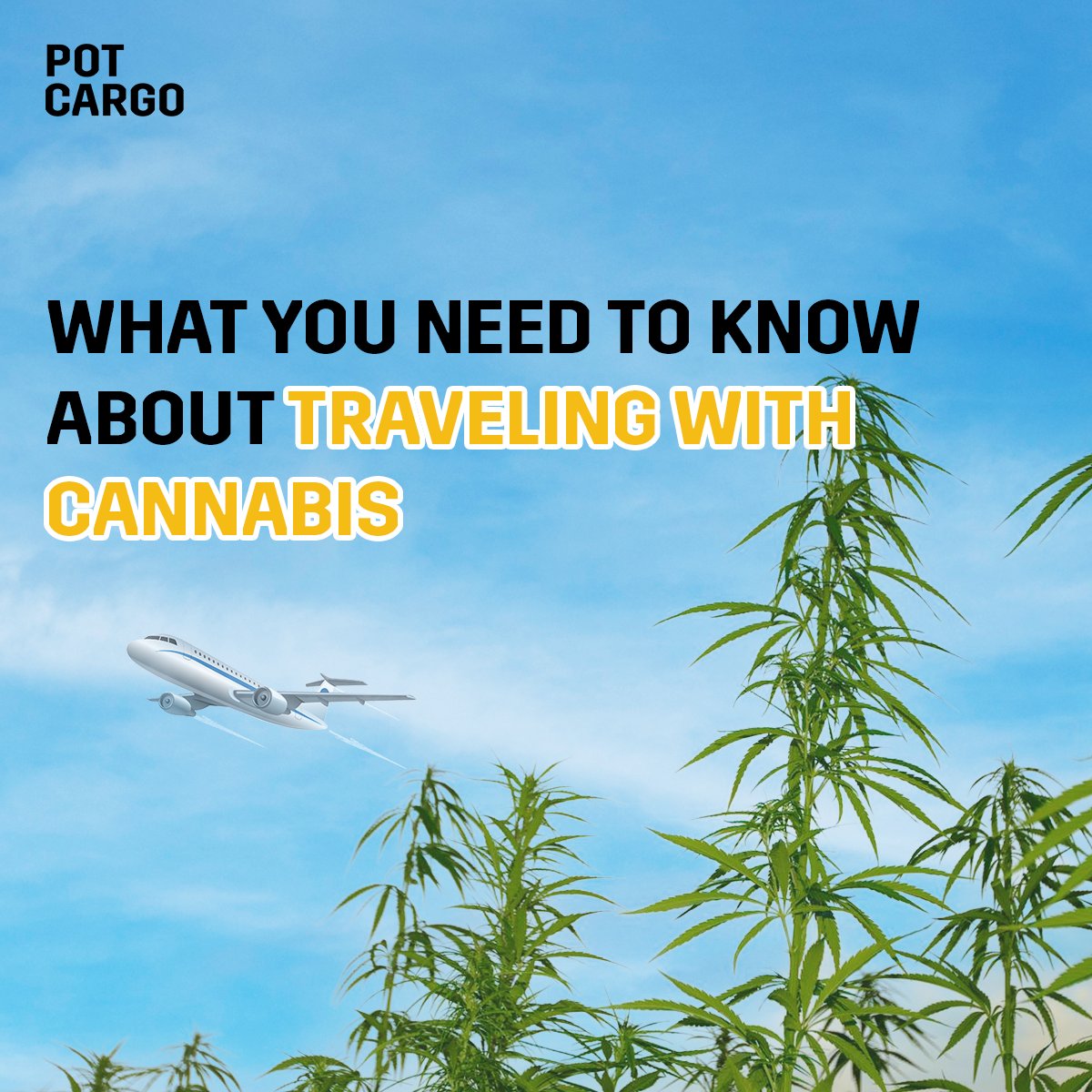 Discover how to keep your stash fresh and potent while on the go. From flowers to capsules and seeds, our latest blog post reveals the ultimate storage tips.
pc.ch-r-000.com/travelling-wit…

#HumpDayMotivation #cannabisindustry