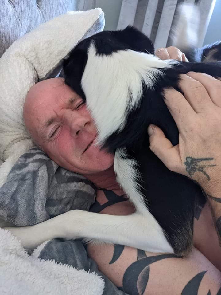 50BorderCollie's tweet photo. Love You Dad 🤗
-
🎥 Credit: unknown
.
.
.
#bordercollie #bordercollieworld  #bordeecollies #bordercollieaddicted https://t.co/fsP0vzbo6K