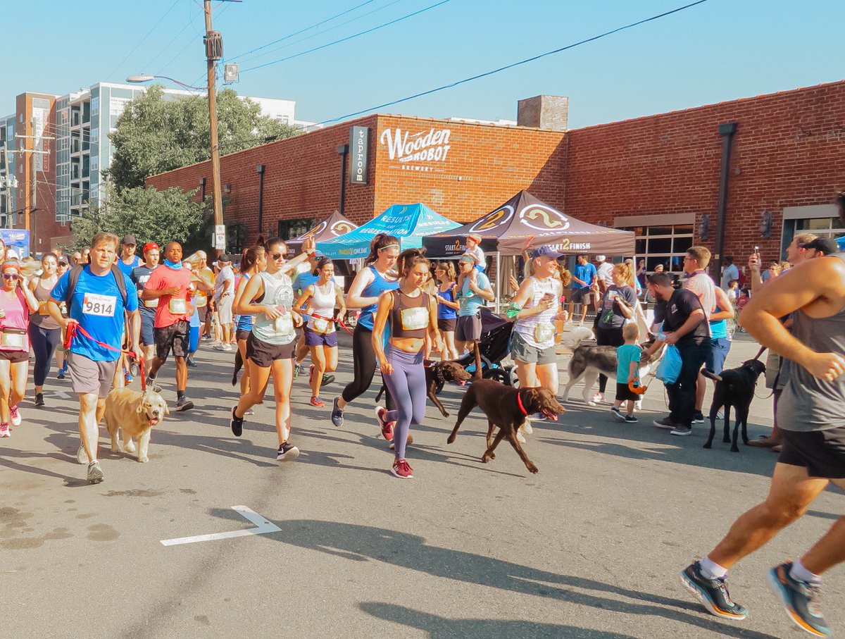 We love running with our pup best friends! What's even better than one running furry friend? So many pup runners at the South End Shuffle! 🐶🏃🏃‍♀️ Presented by @BeaconCLT @skufcalaw @WoodenRobotAle #southendshuffle #runsouthend #southendclt #cltrunning #runcltrun #runclt#Charlotte