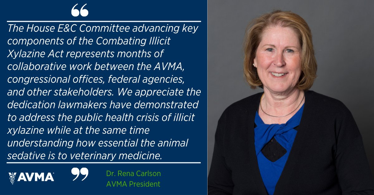 BREAKING: AVMA-backed xylazine language advances in House Language would schedule xylazine as a Schedule III drug while exempting the FDA-approved animal drug, which means that veterinarians will be able to use it as they always have under federal law: bit.ly/3NTCwdU