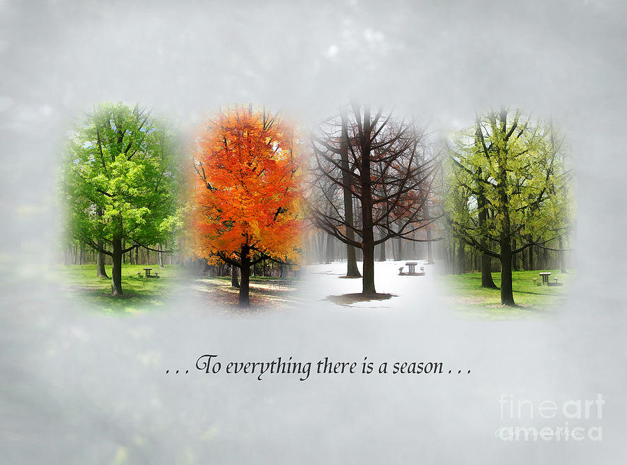 MartyCarnegie's tweet photo. Eccl 3:1, the Bible, prophesied &amp; Promised; EVERYTHING HAS A SEASON.  Every season has unique characteristics. Living for God has seasons. We enjoy pleasant seasons, we loose heart in tough seasons. Trust &amp; stay faithful, seasons change. Hold on, your day for rejoicing is coming. https://t.co/NLu8KWjukB