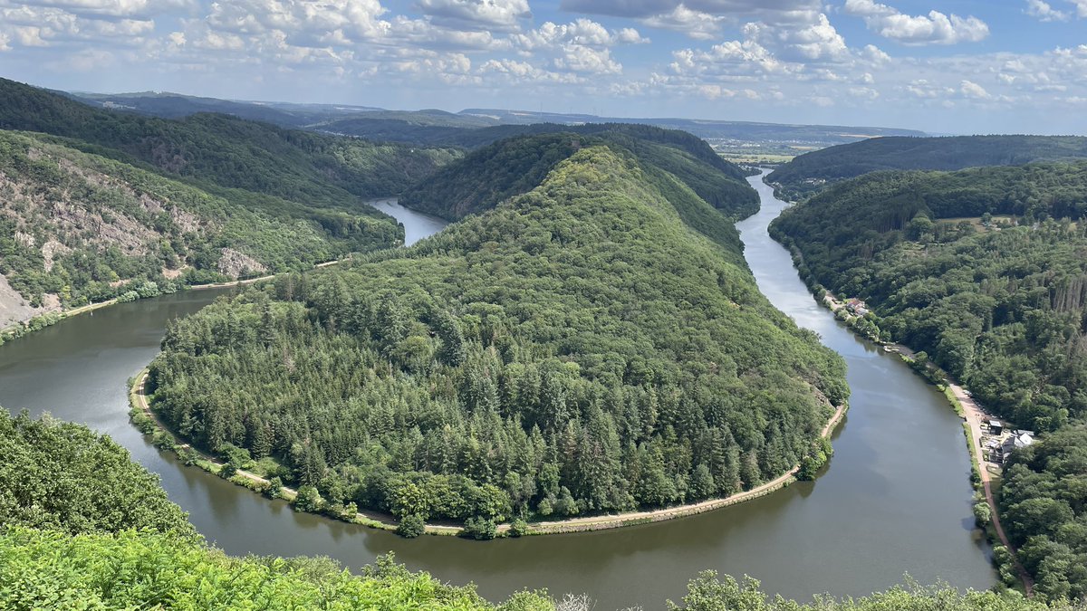 Prof Carine Lallemand tweet media