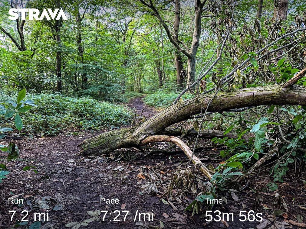 LittleJoeRunner's tweet image. I’m still a long way off feeling my fittest, but this is the best I’ve felt in over a month.