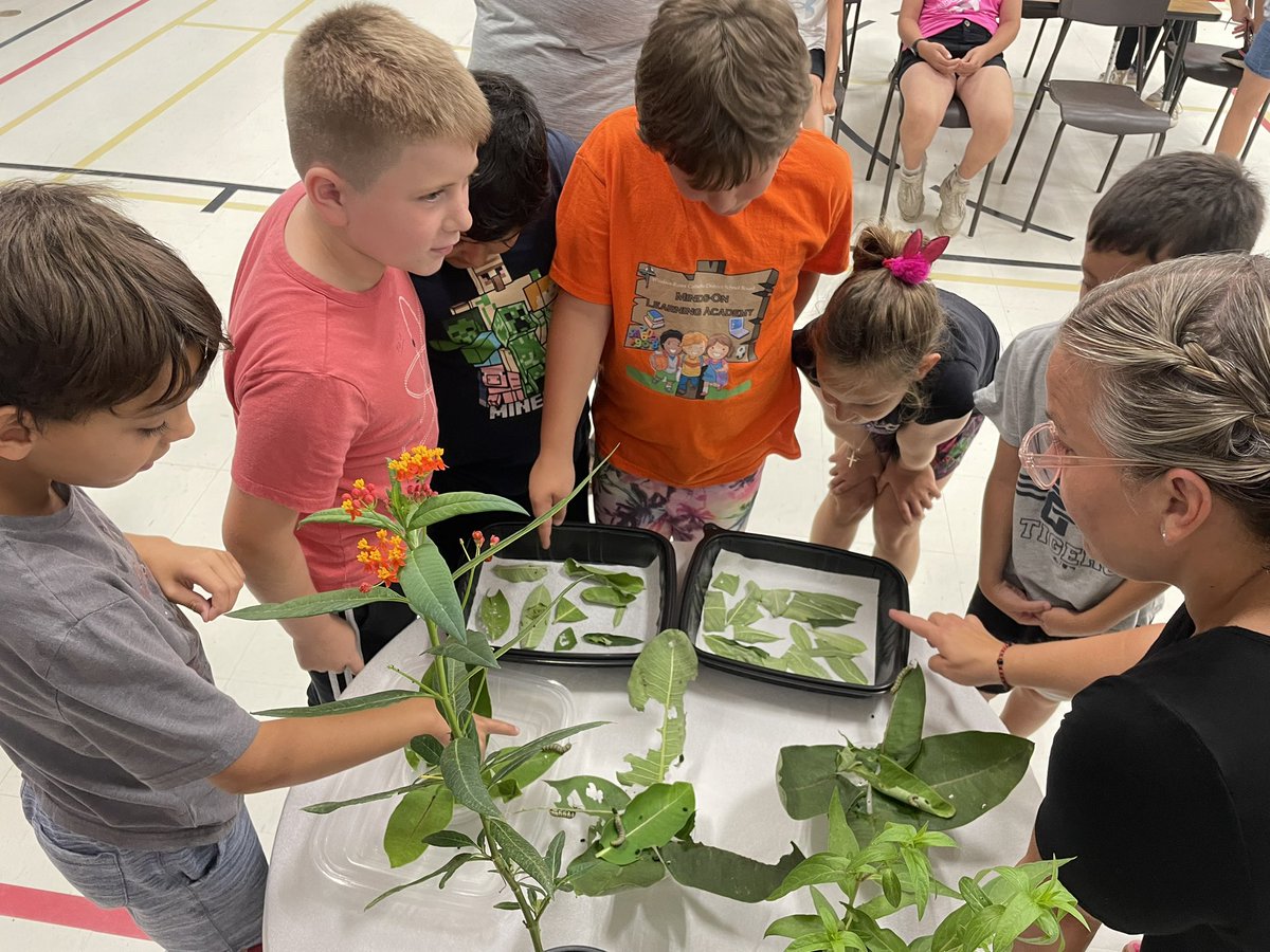 Miss David tweet media