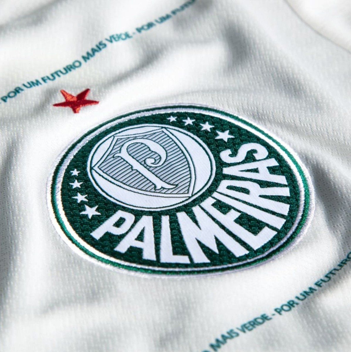 Pró-Palmeiras (@propalmeiras_) on Twitter photo 
