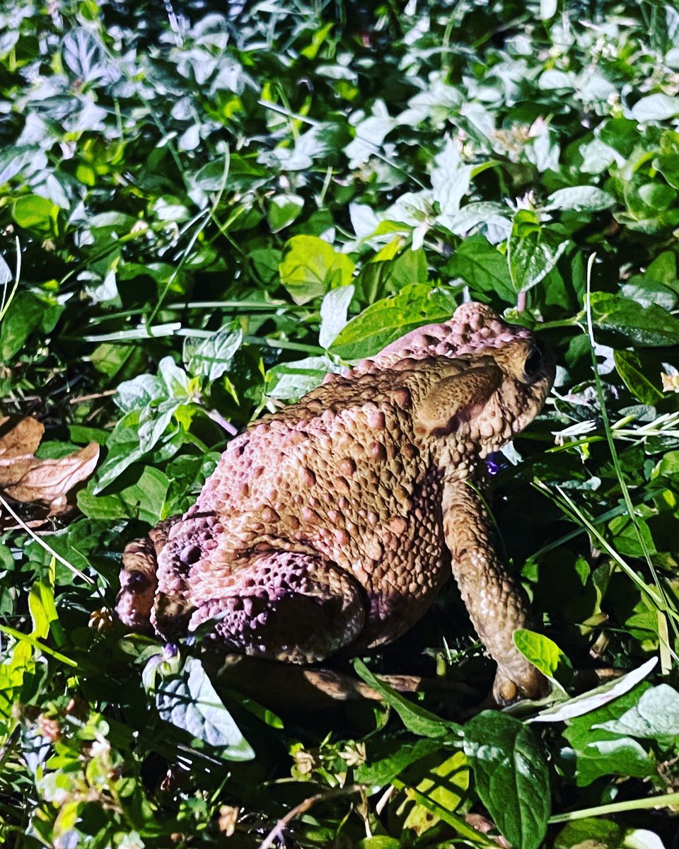 Boris Geiger tweet media