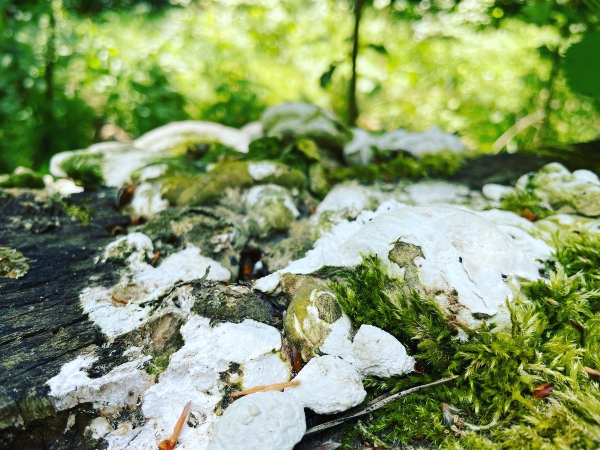 Boris Geiger tweet media