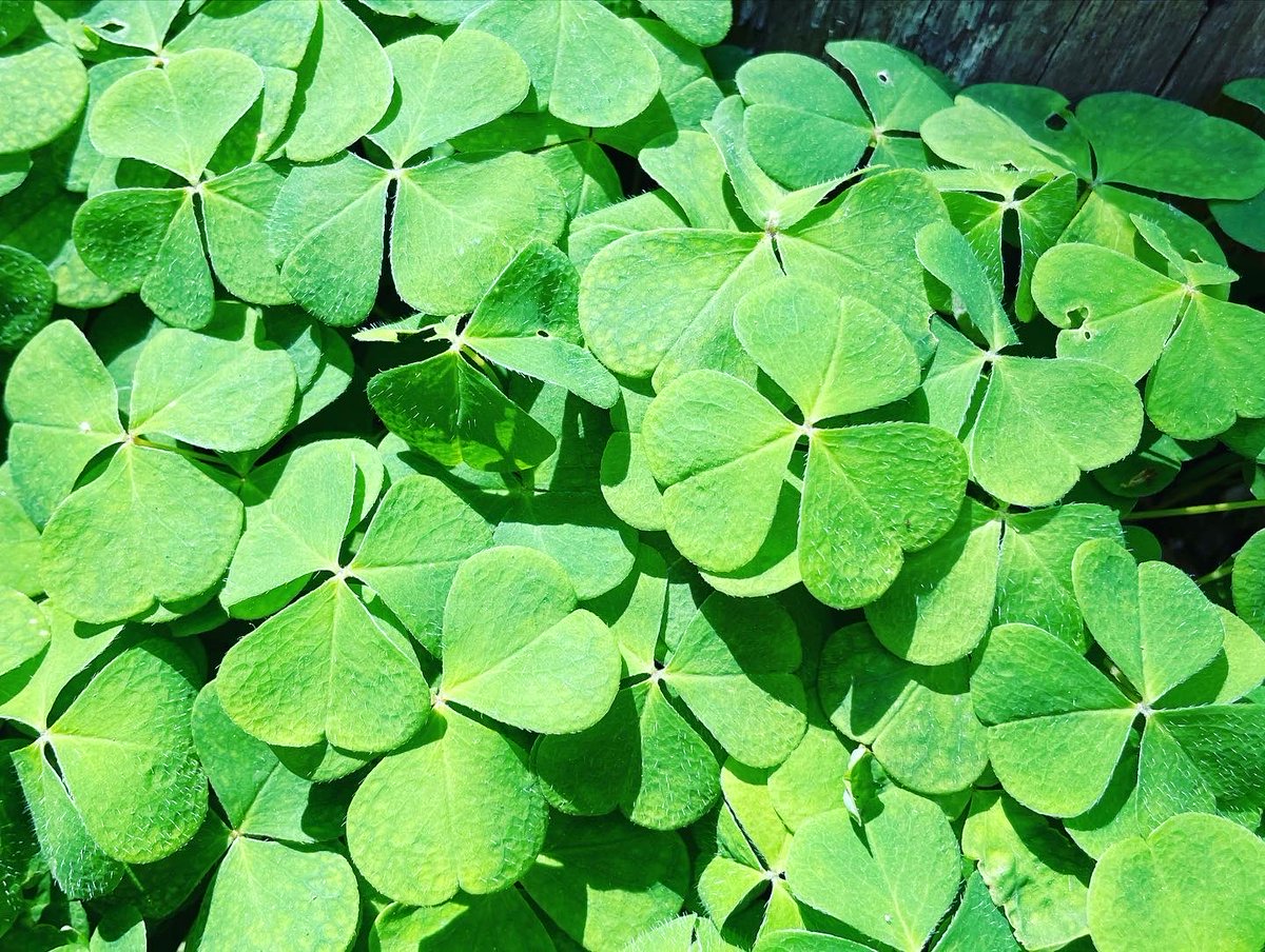 Boris Geiger tweet media