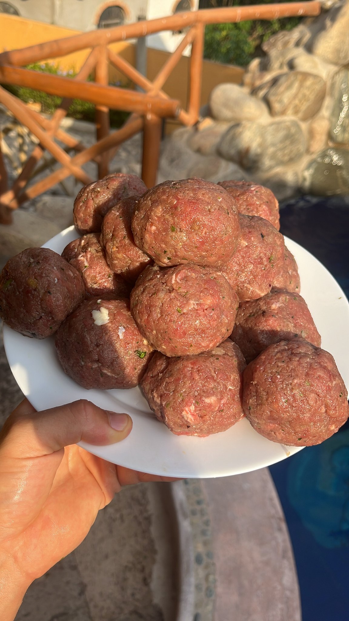 Noah Ryan on Twitter "1. Gelatin Gelatin gives beef a sturdier