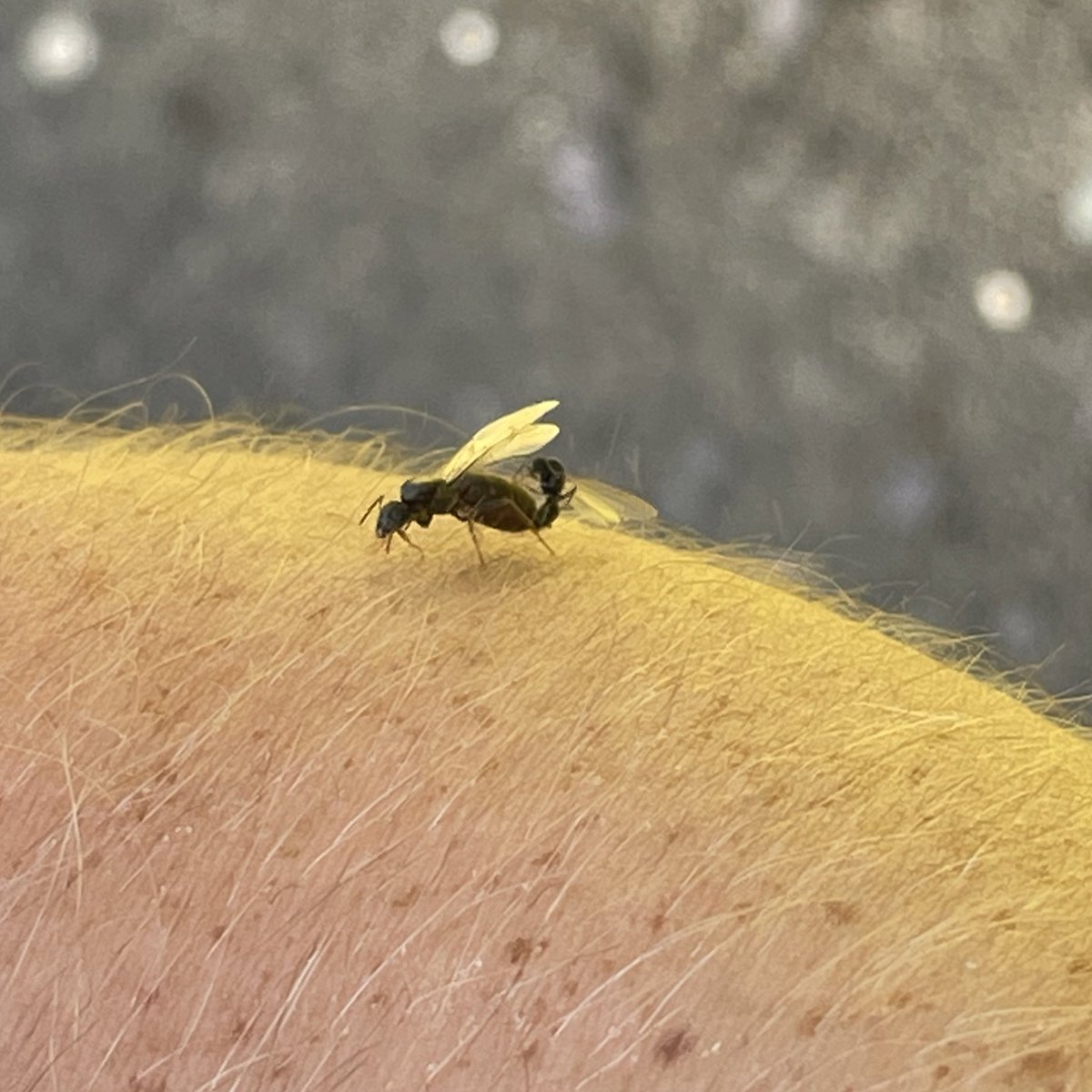 Chris Pull tweet media