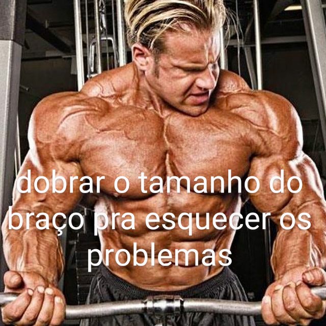 FelipeGains's tweet image. 