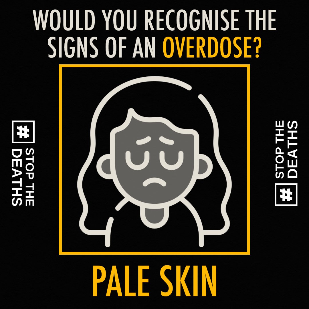 Ryan Macintyre 🇵🇸 tweet media