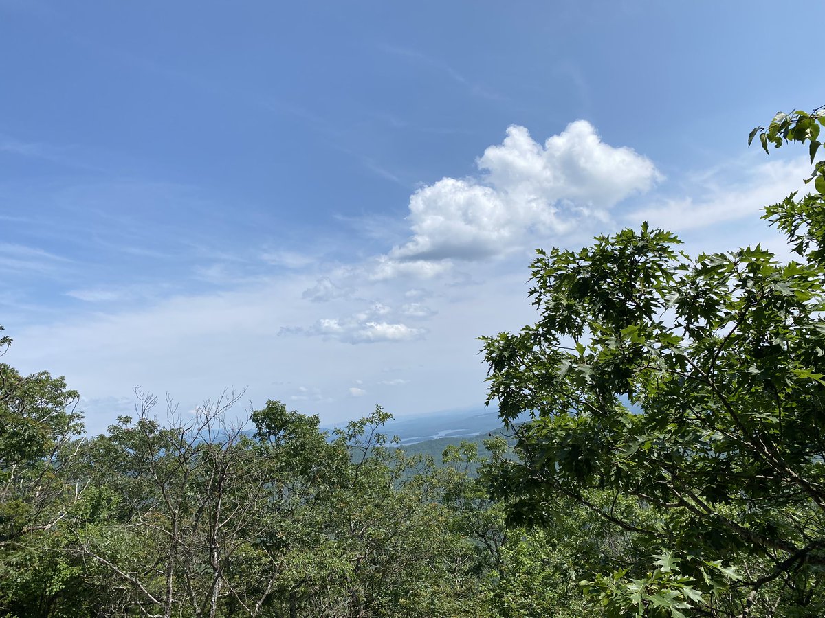 Monica_Ohnsorg's tweet photo. The “Death March” 💀 was looking very alive today at the #biomaterials @GordonConf! 🥾 🌳 This has been a absolutely wonderful first GRS/GRC. What an amazing experience to be able to learn, talk about science, and spend time in nature with this amazing community! #nerdcamp https://t.co/l0fSyHsZjs
