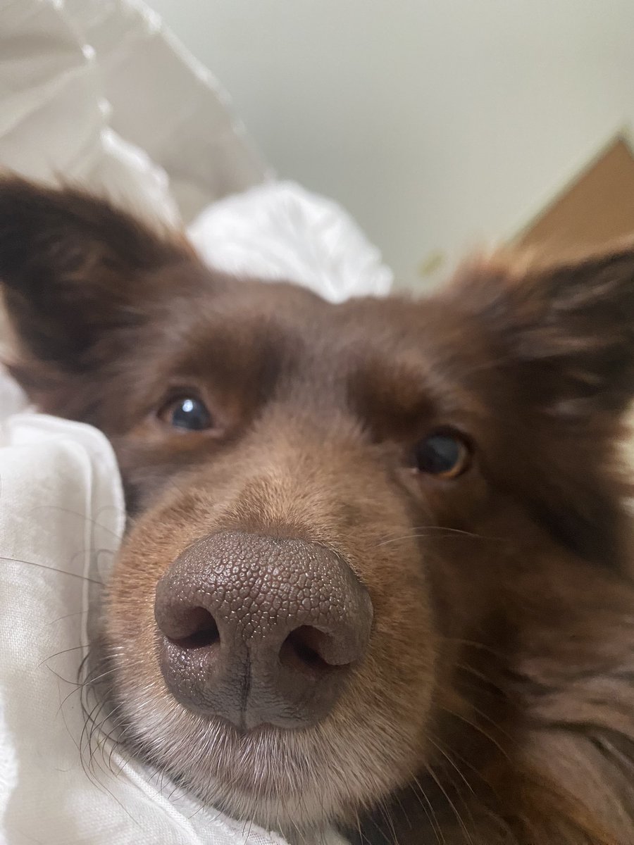 • JennieG • (@jennieg213) on Twitter photo 