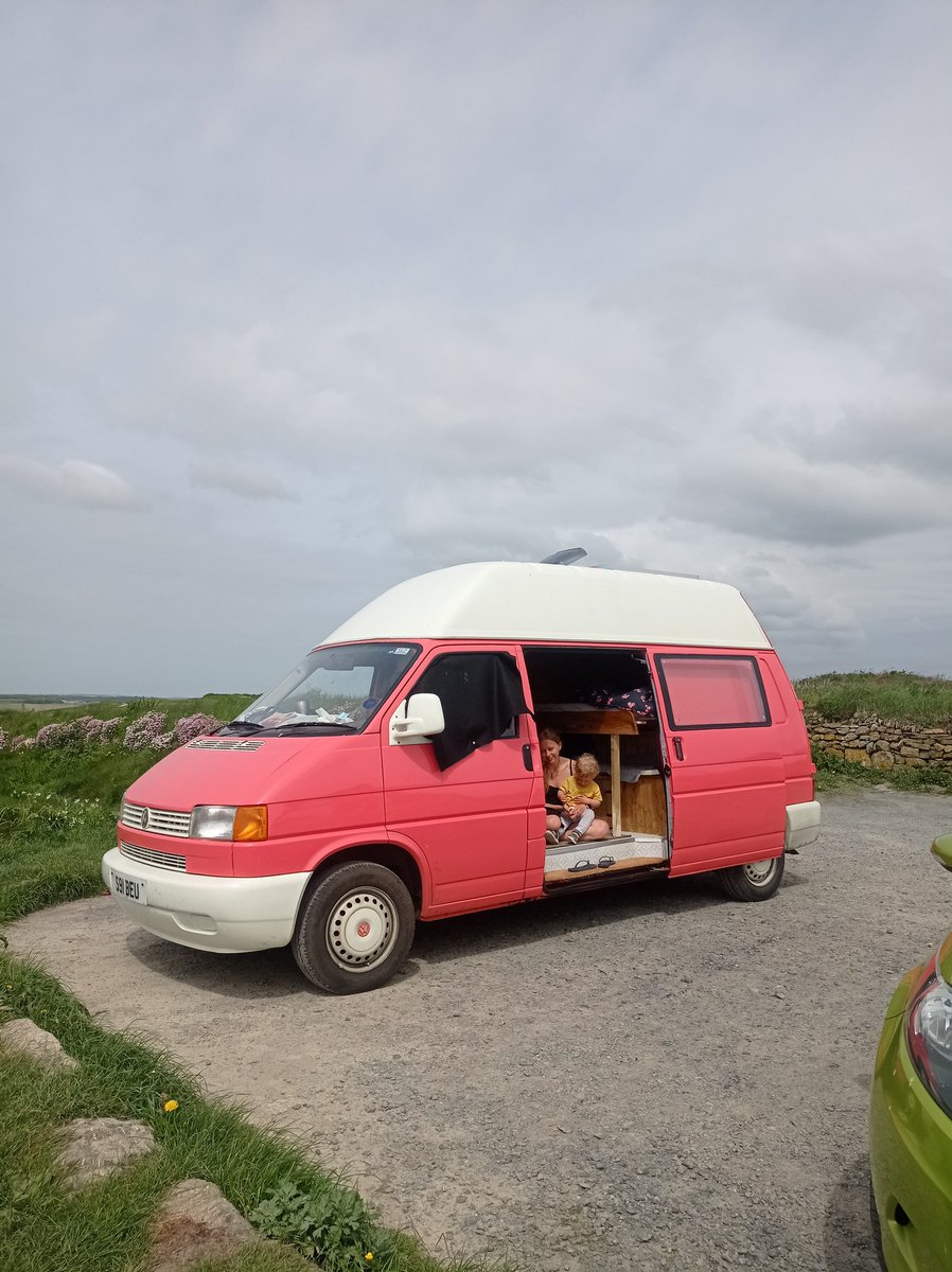 Pinkvanfam tweet media